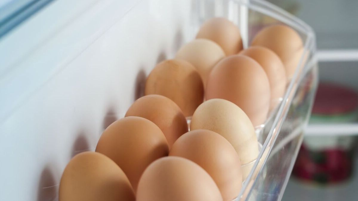 Conservation des œufs frais pendant au moins 66 jours grâce à une méthode de stockage professionnelle