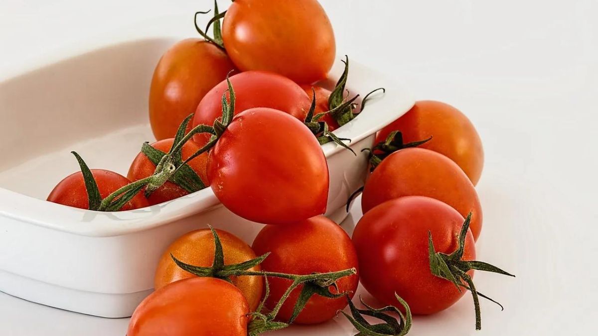 différence entre la sauce tomate et la passata