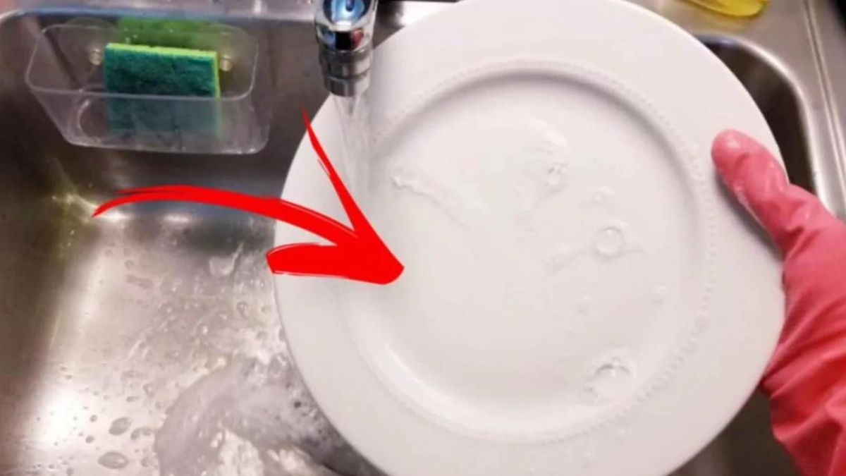 Utiliser l’eau de Javel pour laver la vaisselle : est-ce possible ?