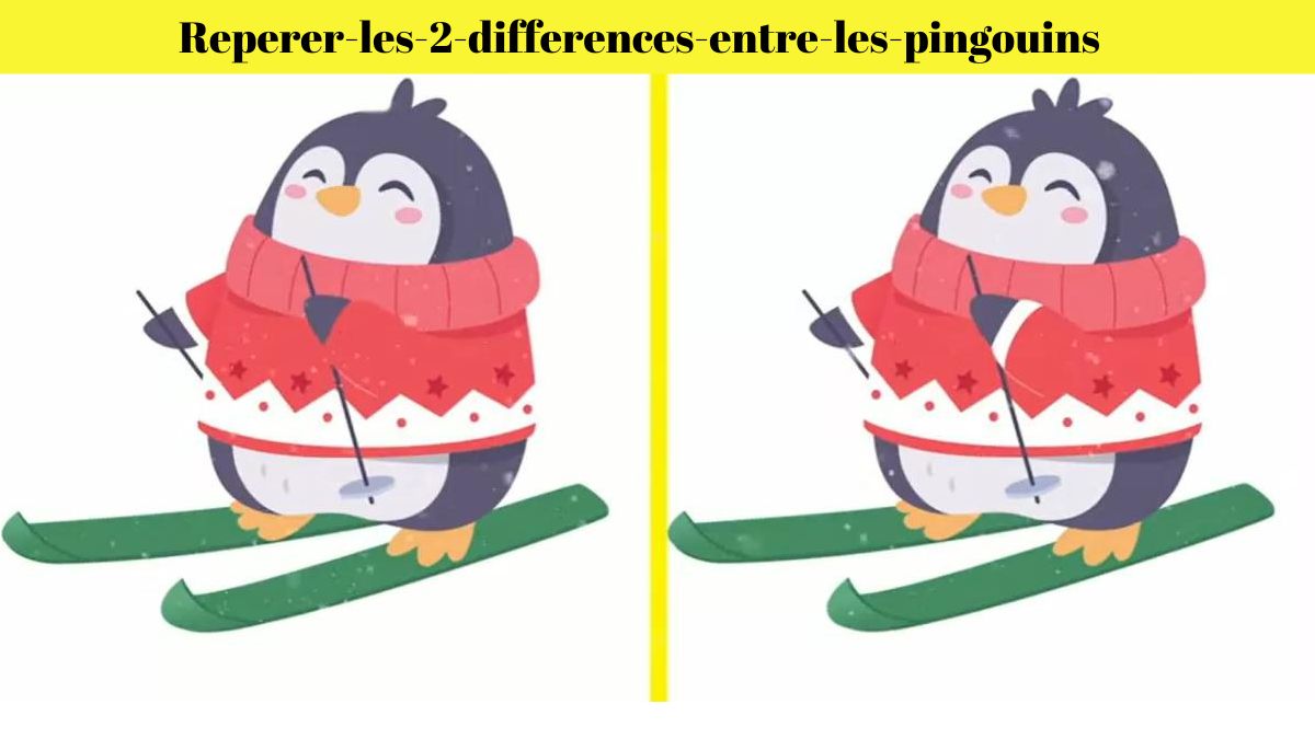 Vous avez les yeux d’un détective si vous pouvez repérer les 2 différences entre les pingouins de la photo de neige en 5 secondes