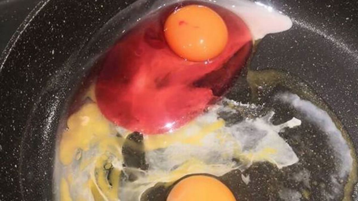 les dangers du blanc d'œuf rouge