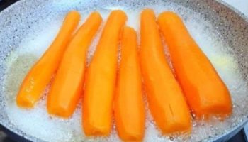 carrés de carottes à la noix de coco