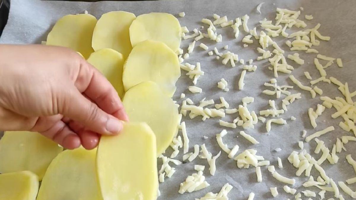 roulé de pommes de terre au thon