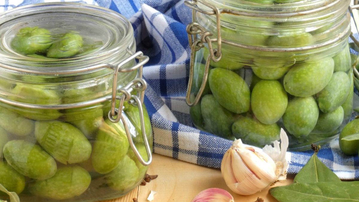 olives vertes en saumure   